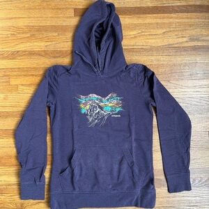 ❄️ Patagonia W’s Raindrop Peak Ahnya hoody/hoodie sz S